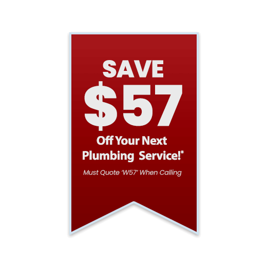 Same Day Glandore Plumbers