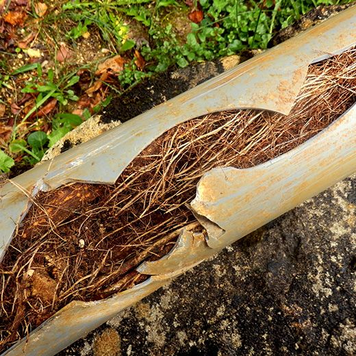 The Drain & Sewer Professionals In Glandore